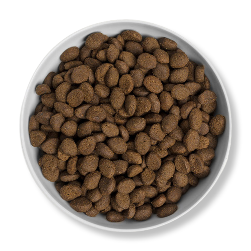 Canagan 無穀物田園野味全犬糧 6KG - Image 2