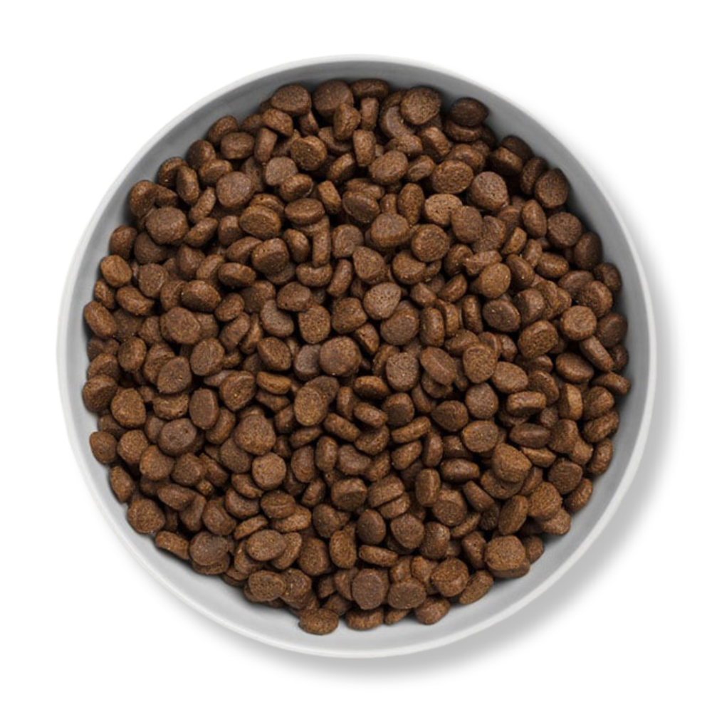 Canagan 無穀物走地雞全貓糧 4kg - Image 2