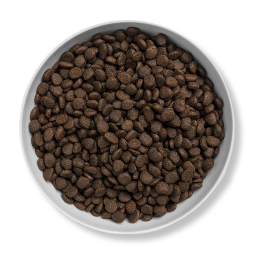 Canagan 無穀物三文魚全貓糧 1.5kg - Image 2